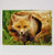 Fox in a Log Get Well Soon Card with Inside Message