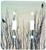 3dRose lsp-44734-2 Birds on Branches Winter Nature Art Double Toggle Switch