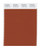 Pantone 18-1345 TCX Smart Color Swatch Card Cinnamon Stick