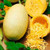 Spaghetti Squash Seeds - 20 Seeds - Spaghetti Squash Seeds for Planting - Non - GMO - Cucurbita Pepo Seeds - Spaghetti Winter Squash Seeds 20