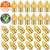 Zeelo 30 Pieces 3D Printer Nozzles MK8 Nozzle 0_2mm 0_3mm 0_4mm 0_5mm 0_6mm 0_8mm 1_0mm for 3D Printer Makerbot Anet A8 CR-10 CR-10S S4 S5 Ender-3 5