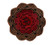C D Visionary Application DSX Zen OM Mandala Patch