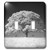 3dRose lsp-37372-2 Large Oak Tree and Grass in B and W Double Toggle Switch