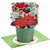 Hallmark Paper Wonder Displayable Pop Up Christmas Card Poinsettia Bouquet 699XXH3261 Hallmark Paper Wonder Displayable Pop Up Christmas Card Poinsettia Bouquet 699XXH3261