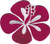 C D Visionary Application Red Hibiscus Patch