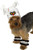 Rubies Pet Costume Large Skeleton Headpiece with Cuffs