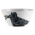 Zak Designs AVNZ-0363 Marvel Comics Black Panther Cereal Plastic Bowl, 25 Ounce, Multicolored