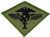 United States Marine Corps USMC 1st Aircraft Wing Patch with Iron-On Adhesive Subdued WoodlandGreen