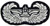 United States Army Airborne AB Glider Badge Patch with Iron-On Adhesive