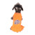 NCAA Texas El Paso Miners Cheerleader Dog Dress Team Color Large