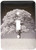 3dRose lsp-37372-1 Large Oak Tree and Grass in B and W Single Toggle Switch