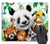 Knseva Zoo Animals Selfie Funny Mouse Pad Sloth Panda Monkey Raccoon Parrot Frog Cute Mouse Pads