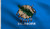 DMSE Oklahoma State Flag 3X5 Ft Foot 100 Polyester 100D Flag UV Resistant 3 X 5 Ft Foot