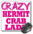 3dRose Crazy Hermit Crab Lady Mouse Pad (mp_175104_1)