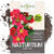 Seed Needs Cherry Rose Nasturtium Tropaeolum Minus Bulk Pack of 350 Seeds