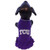 NCAA Cheerleader Dog Dress Team XX-Large