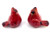 Cardinal Salt and Pepper Shaker Set
