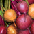 Burpee Cooks Custom Mix Beet Seeds 300 seeds