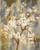 Posterazzi Collection Neutral Branches I Crop Poster Print by Silvia Vassileva 8 x 10
