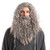 Spooktacular Creations Mens Grey Wizard Wig with Beard Halloween Wig for Adults Cosplay Party Accessories
