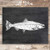 Rainbow Trout Chalkboard Art Print - Unframed - 8x10