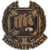 Throat Punch Qualification Badge - Embroidered Morale Patch Arid Desert