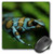 3dRose LLC 8 x 8 x 0.25 Inches Blue and Brown Tree Frog on a Leaf Mouse Pad (mp_10382_1)