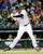 MLB J_D_ Martinez Detroit Tigers 2015 Action Photo Size 8 x 10