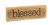 The Bridge Collection Blessed Mini Wood Block Sign