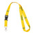 Clarkson University Golden Knights NCAA Car Keys ID Badge Holder Lanyard Keychain Detachable Breakaway Snap Buckle