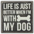 Primitives by Kathy Classic Box Sign, 4" Square, with My Dog