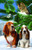 Watch Out 100 pc Jigsaw Puzzle by SUNSOUT INC