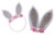 Easter Headband for Baby Girls Bunny Rabbit Ear Headbands with Flower Crown ZHB04 Silver Headband  Hair Clip One Size