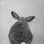 Posterazzi Collection Little Rabbit from Behind Poster Print by Atelier B Art Studio 12 x 12