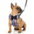 RYPET Small Dog Harness and Leash Set - Dog Harness No Pull Pet Harness with Soft Mesh Nylon Vest for Small Dogs and Cats Colorful L