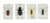 Celestron 44407 3D Bug Specimen Kit 1 Black Brown Yellow