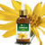 Salvia Arnica Essential Oil 100 Pure Undiluted and Organic - Natural Premium Aromatherapy Massage Oil - 15 ML with Dropper