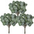 Winlyn 18 Pcs Seeded Eucalyptus Leaves Stems Bulk Artificial Greenery Faux Face Silver Dollar Eucalyptus Plant Branches for Vase Floral Arrangements Centerpieces Bouquets Wedding Holiday Greens Decor