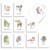 The Best Card Company Mischief Cats - 20 Assorted Boxed All Occasions Note Cards with Envelopes 4 x 5_12 Inch - AM9169OCB-B2x10