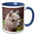 3dRose mug_87050_6" Peru Alpaca wildlife, Awana Kancha, Urubamba Valley - SA17 KWI0128 - Kymri Wilt Two Tone Mug, 11 oz, Blue/White