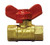 Winters SMV Series Brass Mini Ball Valve with T-Handle 14 NPT Female