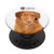 AKC Nova Scotia Duck Tolling Retriever Photo PopSocket PopSockets Grip and Stand for Phones and Tablets