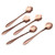Verdental Stainless Steel Tableware Creative Coffee Scoops Stirring Spoon Sugar Spoon Set of 5 (Rose Gold)