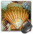 3dRose LLC 8 x 8 x 0.25 Inches Mouse Pad, Sea Shells Up Close (mp_24001_1)