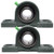 PGN - UCP205-16 Pillow Block Mounted Ball Bearing - 1 Bore - Solid Cast Iron Base - Self Aligning 2 Pack