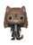 Funko 35509 Harry Potter Hermione as Cat Pop Vinyl Figure