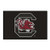 FANMATS NCAA University of South Carolina Gamecocks Nylon Face Starter Rug
