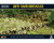 Bolt Action Anti-Tank Obstacles 156 WWII Military Wargaming Diorama Plastic Model Kit Bolt Action Anti-Tank Obstacles 156 WWII Military Wargaming Diorama Plastic Model Kit