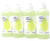 Smartly Dishwashing Liquid Smells Like A Meadow 10 Fluid Ounce 4 Pack