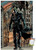 Trends International DC Comics - The Joker - Arkham Asylum Wall Poster 14_725 x 22_375 Premium Poster   Mount Bundle